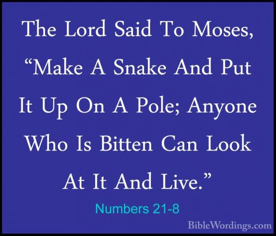 Numbers 21-8 - The Lord Said To Moses, "Make A Snake And Put It UThe Lord Said To Moses, "Make A Snake And Put It Up On A Pole; Anyone Who Is Bitten Can Look At It And Live." 