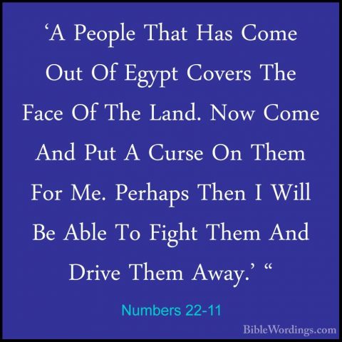 Numbers 22-11 - 'A People That Has Come Out Of Egypt Covers The F'A People That Has Come Out Of Egypt Covers The Face Of The Land. Now Come And Put A Curse On Them For Me. Perhaps Then I Will Be Able To Fight Them And Drive Them Away.' " 