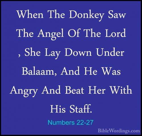 Numbers 22-27 - When The Donkey Saw The Angel Of The Lord , She LWhen The Donkey Saw The Angel Of The Lord , She Lay Down Under Balaam, And He Was Angry And Beat Her With His Staff. 