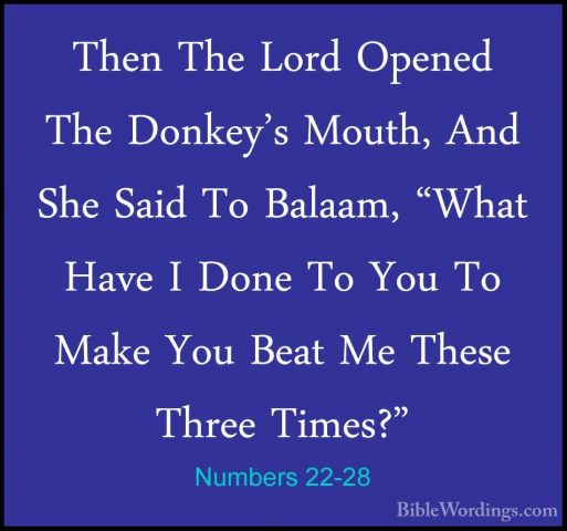 Numbers 22-28 - Then The Lord Opened The Donkey's Mouth, And SheThen The Lord Opened The Donkey's Mouth, And She Said To Balaam, "What Have I Done To You To Make You Beat Me These Three Times?" 