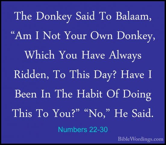 Numbers 22-30 - The Donkey Said To Balaam, "Am I Not Your Own DonThe Donkey Said To Balaam, "Am I Not Your Own Donkey, Which You Have Always Ridden, To This Day? Have I Been In The Habit Of Doing This To You?" "No," He Said. 