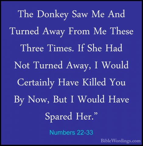 Numbers 22-33 - The Donkey Saw Me And Turned Away From Me These TThe Donkey Saw Me And Turned Away From Me These Three Times. If She Had Not Turned Away, I Would Certainly Have Killed You By Now, But I Would Have Spared Her." 