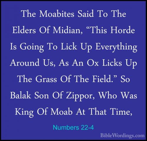 Numbers 22-4 - The Moabites Said To The Elders Of Midian, "This HThe Moabites Said To The Elders Of Midian, "This Horde Is Going To Lick Up Everything Around Us, As An Ox Licks Up The Grass Of The Field." So Balak Son Of Zippor, Who Was King Of Moab At That Time, 