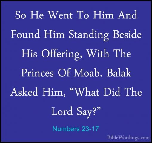Numbers 23-17 - So He Went To Him And Found Him Standing Beside HSo He Went To Him And Found Him Standing Beside His Offering, With The Princes Of Moab. Balak Asked Him, "What Did The Lord Say?" 