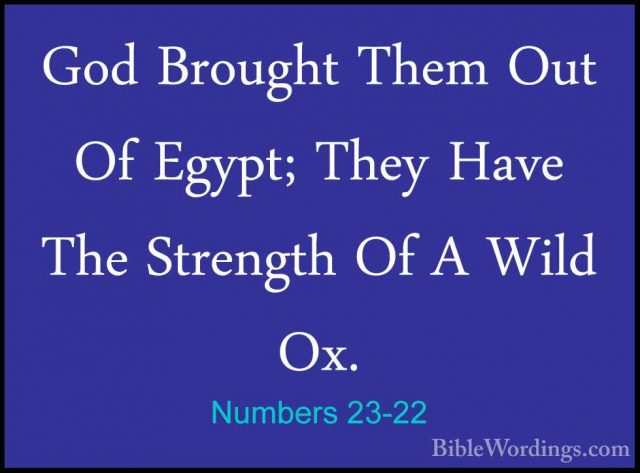 Numbers 23-22 - God Brought Them Out Of Egypt; They Have The StreGod Brought Them Out Of Egypt; They Have The Strength Of A Wild Ox. 