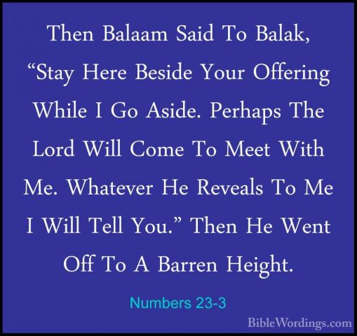 Numbers 23-3 - Then Balaam Said To Balak, "Stay Here Beside YourThen Balaam Said To Balak, "Stay Here Beside Your Offering While I Go Aside. Perhaps The Lord Will Come To Meet With Me. Whatever He Reveals To Me I Will Tell You." Then He Went Off To A Barren Height. 