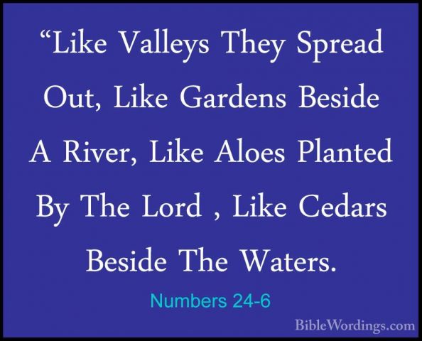 Numbers 24-6 - "Like Valleys They Spread Out, Like Gardens Beside"Like Valleys They Spread Out, Like Gardens Beside A River, Like Aloes Planted By The Lord , Like Cedars Beside The Waters. 