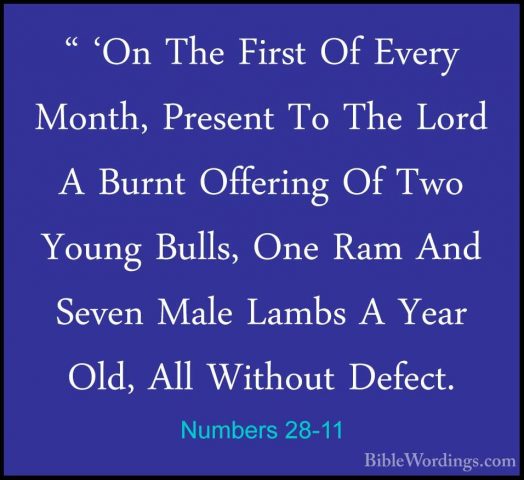 Numbers 28-11 - " 'On The First Of Every Month, Present To The Lo" 'On The First Of Every Month, Present To The Lord A Burnt Offering Of Two Young Bulls, One Ram And Seven Male Lambs A Year Old, All Without Defect. 