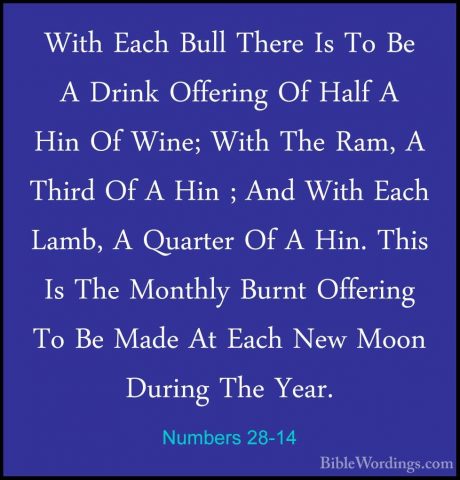 Numbers 28-14 - With Each Bull There Is To Be A Drink Offering OfWith Each Bull There Is To Be A Drink Offering Of Half A Hin Of Wine; With The Ram, A Third Of A Hin ; And With Each Lamb, A Quarter Of A Hin. This Is The Monthly Burnt Offering To Be Made At Each New Moon During The Year. 