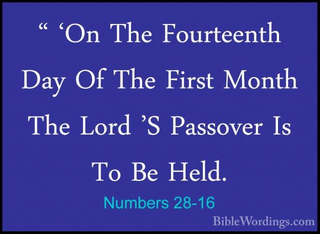 Numbers 28-16 - " 'On The Fourteenth Day Of The First Month The L" 'On The Fourteenth Day Of The First Month The Lord 'S Passover Is To Be Held. 