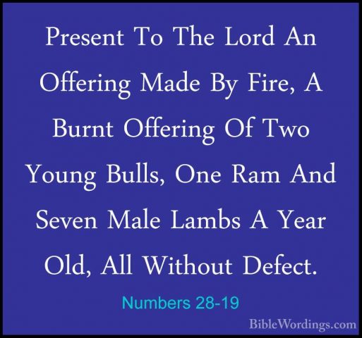 Numbers 28-19 - Present To The Lord An Offering Made By Fire, A BPresent To The Lord An Offering Made By Fire, A Burnt Offering Of Two Young Bulls, One Ram And Seven Male Lambs A Year Old, All Without Defect. 