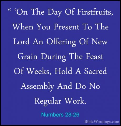 Numbers 28-26 - " 'On The Day Of Firstfruits, When You Present To" 'On The Day Of Firstfruits, When You Present To The Lord An Offering Of New Grain During The Feast Of Weeks, Hold A Sacred Assembly And Do No Regular Work. 
