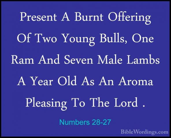 Numbers 28-27 - Present A Burnt Offering Of Two Young Bulls, OnePresent A Burnt Offering Of Two Young Bulls, One Ram And Seven Male Lambs A Year Old As An Aroma Pleasing To The Lord . 