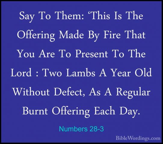 Numbers 28-3 - Say To Them: 'This Is The Offering Made By Fire ThSay To Them: 'This Is The Offering Made By Fire That You Are To Present To The Lord : Two Lambs A Year Old Without Defect, As A Regular Burnt Offering Each Day. 