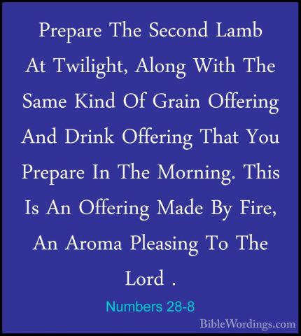 Numbers 28-8 - Prepare The Second Lamb At Twilight, Along With ThPrepare The Second Lamb At Twilight, Along With The Same Kind Of Grain Offering And Drink Offering That You Prepare In The Morning. This Is An Offering Made By Fire, An Aroma Pleasing To The Lord . 