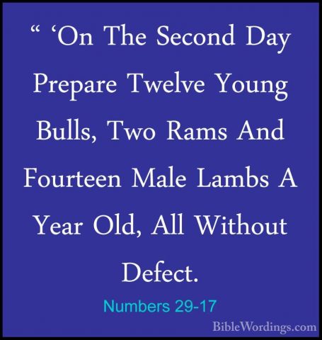 Numbers 29-17 - " 'On The Second Day Prepare Twelve Young Bulls," 'On The Second Day Prepare Twelve Young Bulls, Two Rams And Fourteen Male Lambs A Year Old, All Without Defect. 