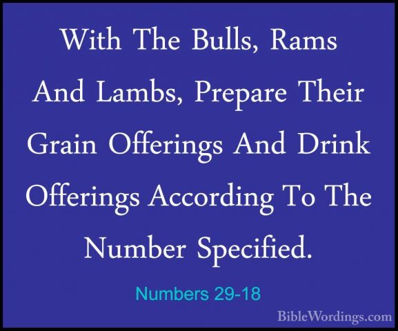 Numbers 29-18 - With The Bulls, Rams And Lambs, Prepare Their GraWith The Bulls, Rams And Lambs, Prepare Their Grain Offerings And Drink Offerings According To The Number Specified. 