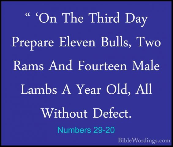 Numbers 29-20 - " 'On The Third Day Prepare Eleven Bulls, Two Ram" 'On The Third Day Prepare Eleven Bulls, Two Rams And Fourteen Male Lambs A Year Old, All Without Defect. 