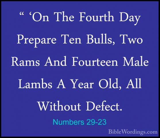 Numbers 29-23 - " 'On The Fourth Day Prepare Ten Bulls, Two Rams" 'On The Fourth Day Prepare Ten Bulls, Two Rams And Fourteen Male Lambs A Year Old, All Without Defect. 