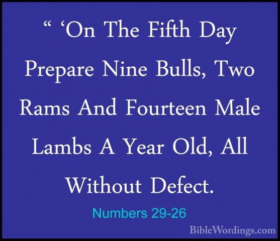 Numbers 29-26 - " 'On The Fifth Day Prepare Nine Bulls, Two Rams" 'On The Fifth Day Prepare Nine Bulls, Two Rams And Fourteen Male Lambs A Year Old, All Without Defect. 
