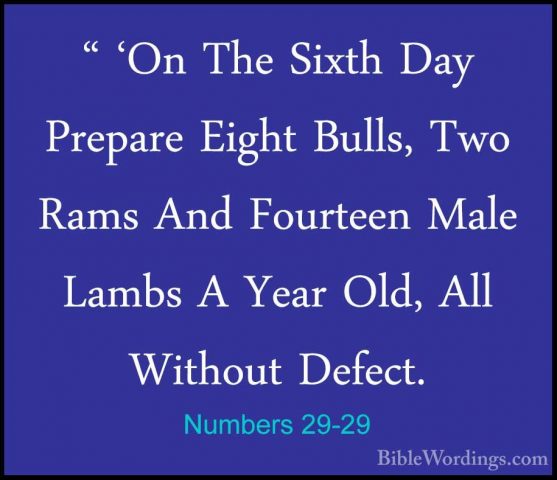 Numbers 29-29 - " 'On The Sixth Day Prepare Eight Bulls, Two Rams" 'On The Sixth Day Prepare Eight Bulls, Two Rams And Fourteen Male Lambs A Year Old, All Without Defect. 
