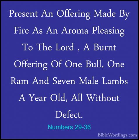 Numbers 29-36 - Present An Offering Made By Fire As An Aroma PleaPresent An Offering Made By Fire As An Aroma Pleasing To The Lord , A Burnt Offering Of One Bull, One Ram And Seven Male Lambs A Year Old, All Without Defect. 
