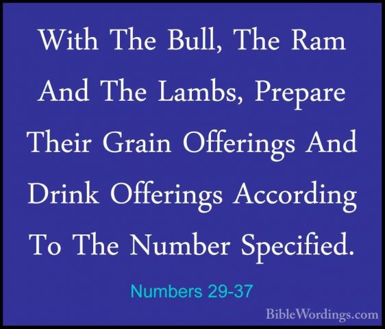 Numbers 29-37 - With The Bull, The Ram And The Lambs, Prepare TheWith The Bull, The Ram And The Lambs, Prepare Their Grain Offerings And Drink Offerings According To The Number Specified. 