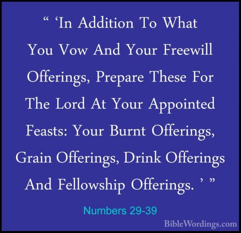 Numbers 29-39 - " 'In Addition To What You Vow And Your Freewill" 'In Addition To What You Vow And Your Freewill Offerings, Prepare These For The Lord At Your Appointed Feasts: Your Burnt Offerings, Grain Offerings, Drink Offerings And Fellowship Offerings. ' " 