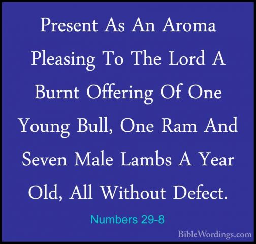 Numbers 29-8 - Present As An Aroma Pleasing To The Lord A Burnt OPresent As An Aroma Pleasing To The Lord A Burnt Offering Of One Young Bull, One Ram And Seven Male Lambs A Year Old, All Without Defect. 