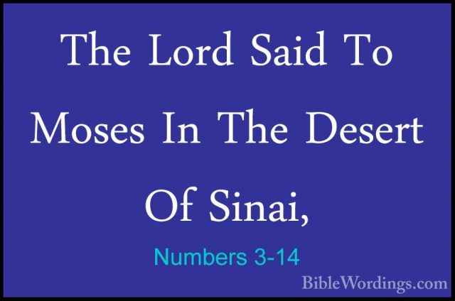 Numbers 3-14 - The Lord Said To Moses In The Desert Of Sinai,The Lord Said To Moses In The Desert Of Sinai, 