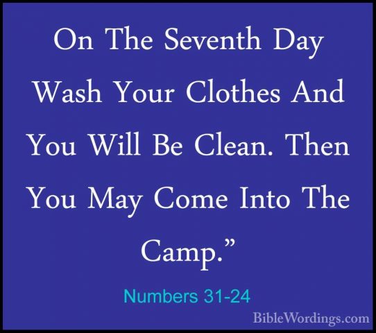 Numbers 31-24 - On The Seventh Day Wash Your Clothes And You WillOn The Seventh Day Wash Your Clothes And You Will Be Clean. Then You May Come Into The Camp." 