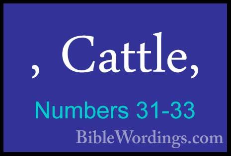 Numbers 31-33 - , Cattle,, Cattle, 