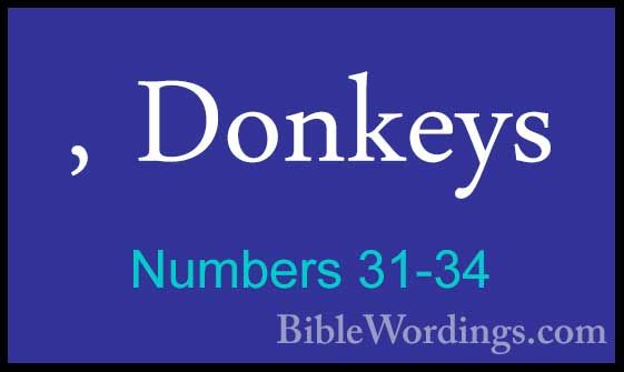 Numbers 31-34 - , Donkeys, Donkeys 