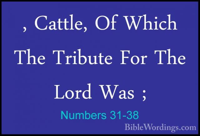 Numbers 31-38 - , Cattle, Of Which The Tribute For The Lord Was ;, Cattle, Of Which The Tribute For The Lord Was ; 