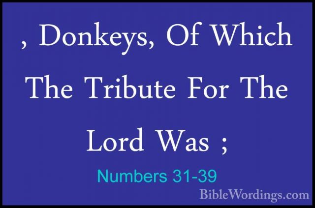 Numbers 31-39 - , Donkeys, Of Which The Tribute For The Lord Was, Donkeys, Of Which The Tribute For The Lord Was ; 