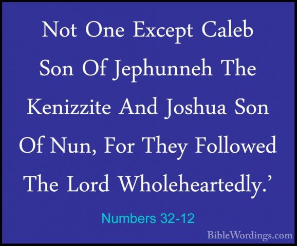 Numbers 32-12 - Not One Except Caleb Son Of Jephunneh The KenizziNot One Except Caleb Son Of Jephunneh The Kenizzite And Joshua Son Of Nun, For They Followed The Lord Wholeheartedly.' 