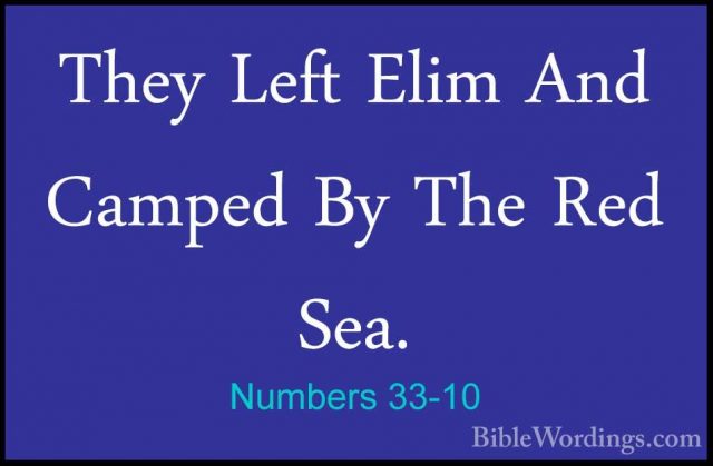 Numbers 33-10 - They Left Elim And Camped By The Red Sea.They Left Elim And Camped By The Red Sea. 