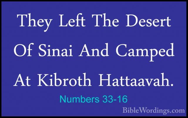 Numbers 33-16 - They Left The Desert Of Sinai And Camped At KibroThey Left The Desert Of Sinai And Camped At Kibroth Hattaavah. 