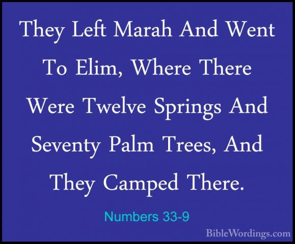 Numbers 33-9 - They Left Marah And Went To Elim, Where There WereThey Left Marah And Went To Elim, Where There Were Twelve Springs And Seventy Palm Trees, And They Camped There. 