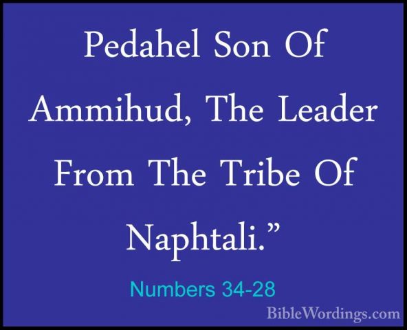 Numbers 34-28 - Pedahel Son Of Ammihud, The Leader From The TribePedahel Son Of Ammihud, The Leader From The Tribe Of Naphtali." 