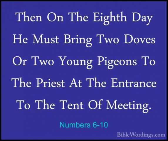 Numbers 6-10 - Then On The Eighth Day He Must Bring Two Doves OrThen On The Eighth Day He Must Bring Two Doves Or Two Young Pigeons To The Priest At The Entrance To The Tent Of Meeting. 