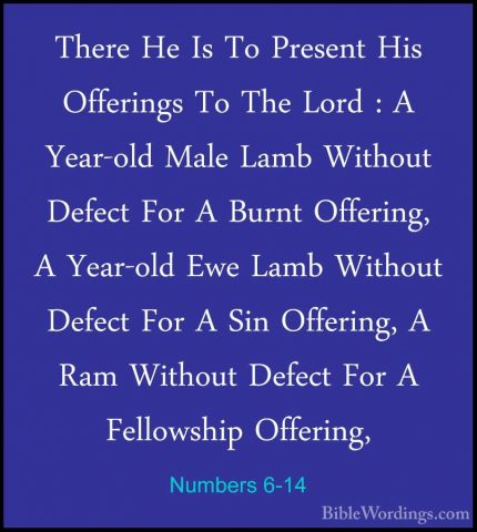 Numbers 6-14 - There He Is To Present His Offerings To The Lord :There He Is To Present His Offerings To The Lord : A Year-old Male Lamb Without Defect For A Burnt Offering, A Year-old Ewe Lamb Without Defect For A Sin Offering, A Ram Without Defect For A Fellowship Offering, 