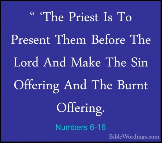 Numbers 6-16 - " 'The Priest Is To Present Them Before The Lord A" 'The Priest Is To Present Them Before The Lord And Make The Sin Offering And The Burnt Offering. 