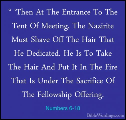 Numbers 6-18 - " 'Then At The Entrance To The Tent Of Meeting, Th" 'Then At The Entrance To The Tent Of Meeting, The Nazirite Must Shave Off The Hair That He Dedicated. He Is To Take The Hair And Put It In The Fire That Is Under The Sacrifice Of The Fellowship Offering. 