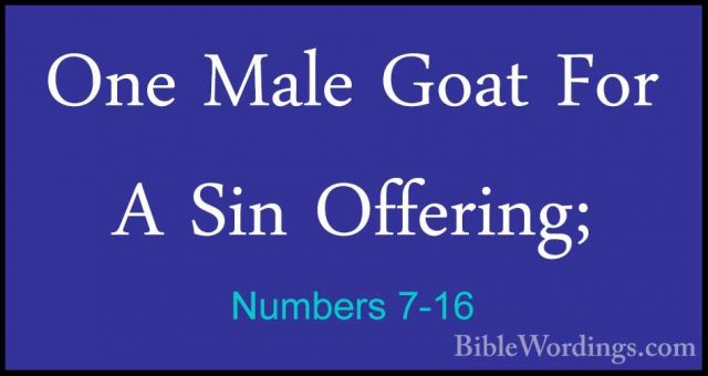 Numbers 7-16 - One Male Goat For A Sin Offering;One Male Goat For A Sin Offering; 