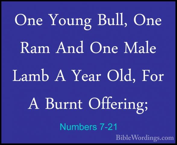 Numbers 7-21 - One Young Bull, One Ram And One Male Lamb A Year OOne Young Bull, One Ram And One Male Lamb A Year Old, For A Burnt Offering; 