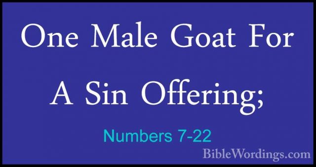Numbers 7-22 - One Male Goat For A Sin Offering;One Male Goat For A Sin Offering; 