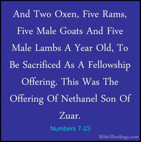 Numbers 7-23 - And Two Oxen, Five Rams, Five Male Goats And FiveAnd Two Oxen, Five Rams, Five Male Goats And Five Male Lambs A Year Old, To Be Sacrificed As A Fellowship Offering. This Was The Offering Of Nethanel Son Of Zuar. 
