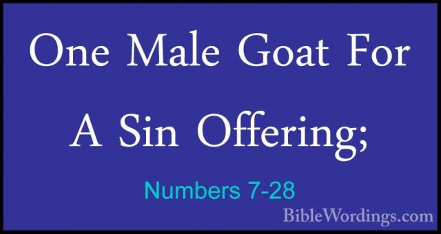 Numbers 7-28 - One Male Goat For A Sin Offering;One Male Goat For A Sin Offering; 