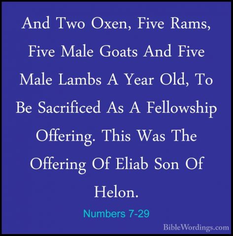 Numbers 7-29 - And Two Oxen, Five Rams, Five Male Goats And FiveAnd Two Oxen, Five Rams, Five Male Goats And Five Male Lambs A Year Old, To Be Sacrificed As A Fellowship Offering. This Was The Offering Of Eliab Son Of Helon. 